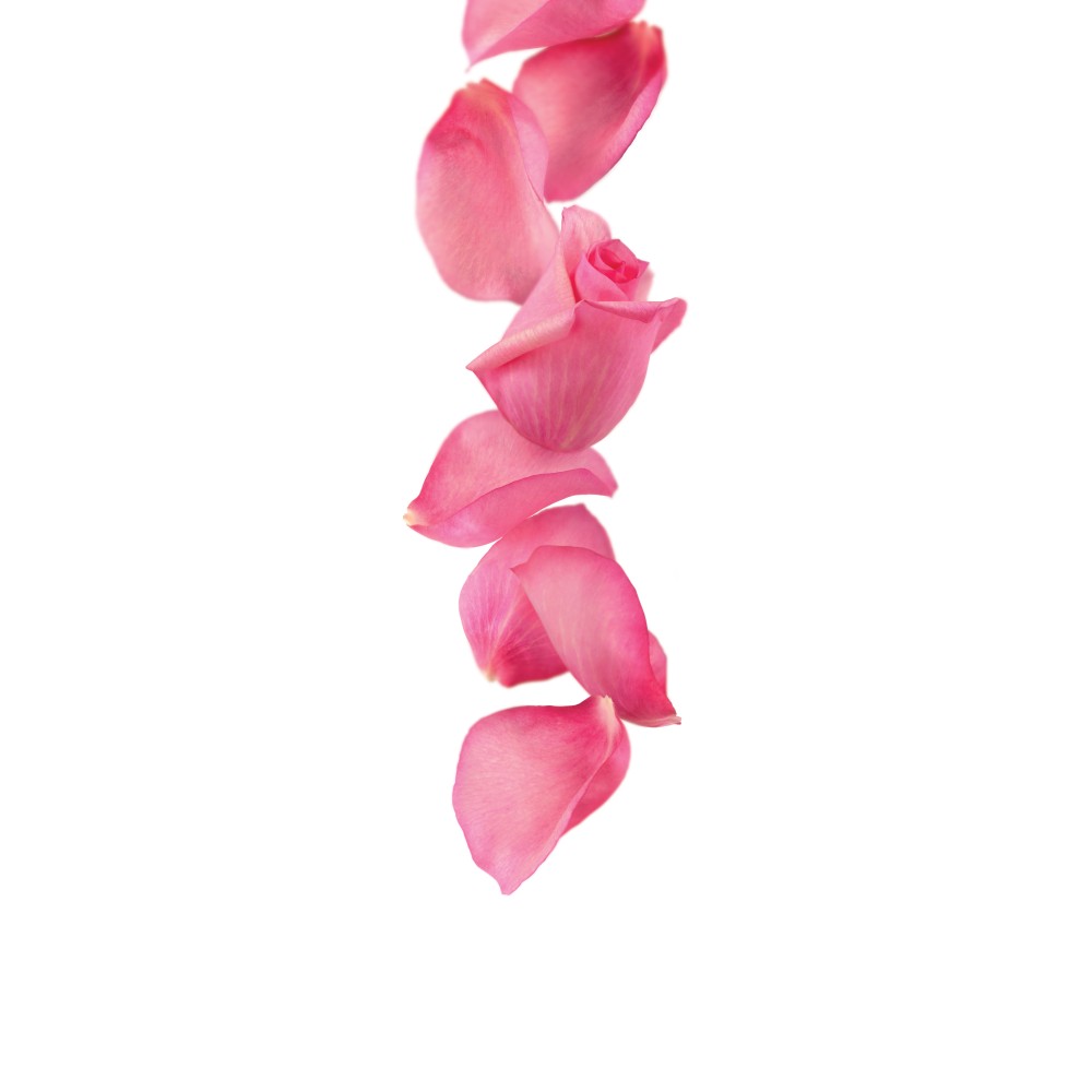 Artisan Rose Syrup 1L Artisan Rose Syrup 1L