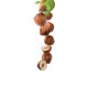 Premium Hazelnut Syrup 1L Premium Hazelnut Syrup 1L