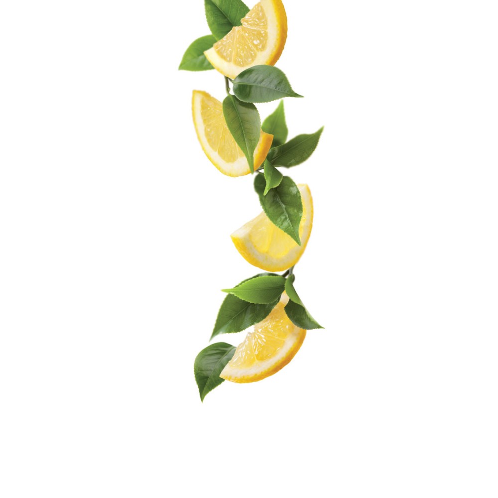 Tea & Lemon Fusion Syrup 1L Tea & Lemon Fusion Syrup 1L