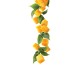 Eksootiline Mango Siirup 1L Eksootiline Mango Siirup 1L