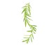 Tarragoni Siirup 1L - Looduslik Valik Tarragoni Siirup 1L - Looduslik Valik