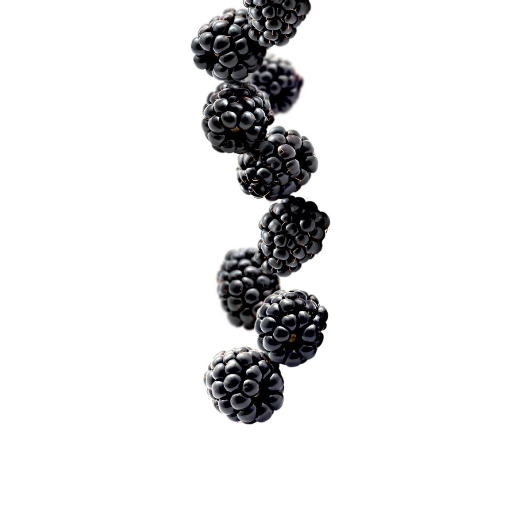 Gourmet Blackberry Syrup - 1L Gourmet Blackberry Syrup - 1L