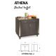 Athena Dual Function Buffet Station