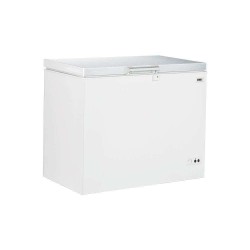 Congélateur 295 l