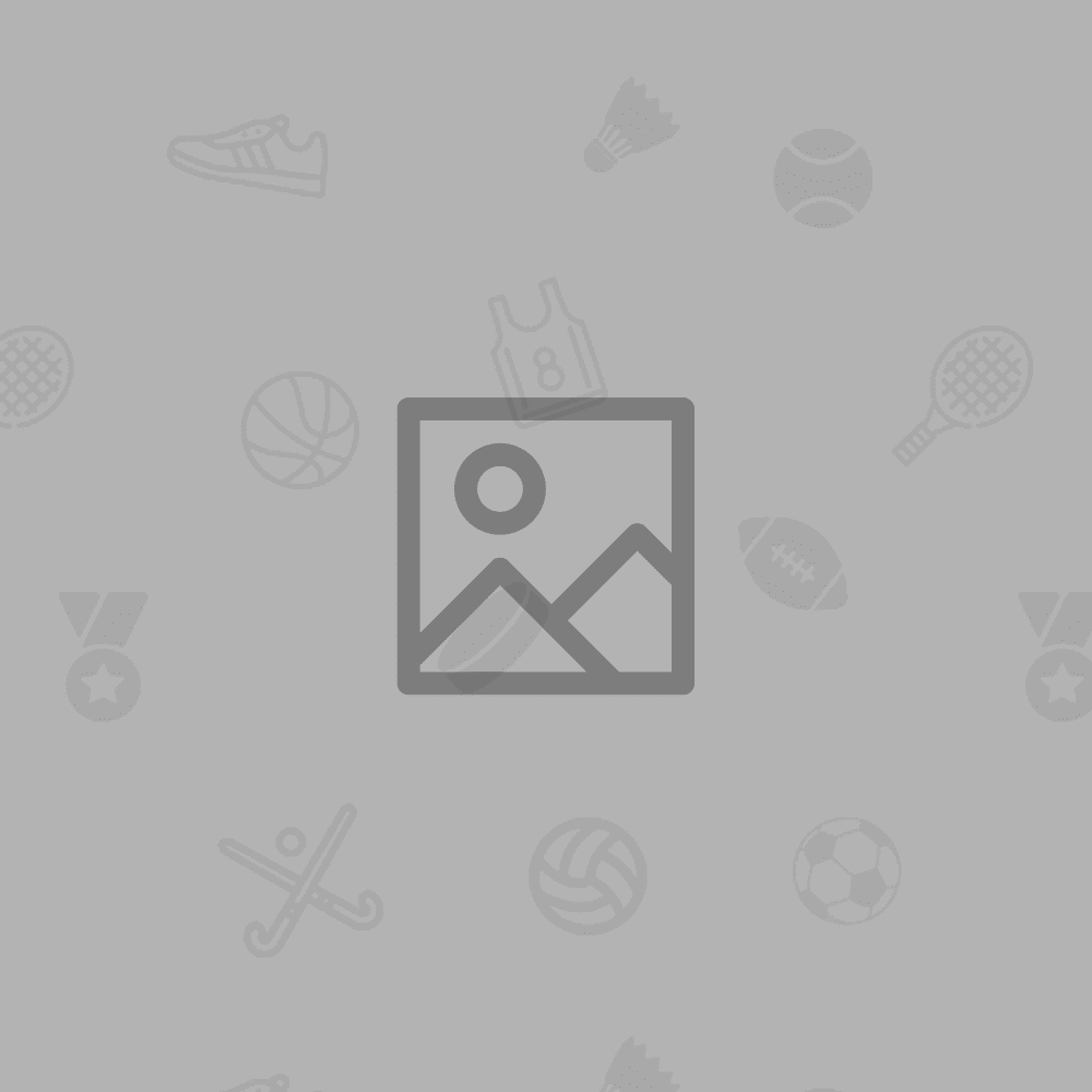 pdf file pdf file