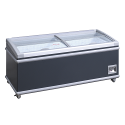 Vitrine de magasin SIF600ADGC