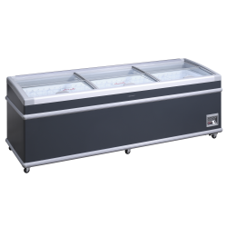 Vitrine de magasin 690L SIF900ADGC